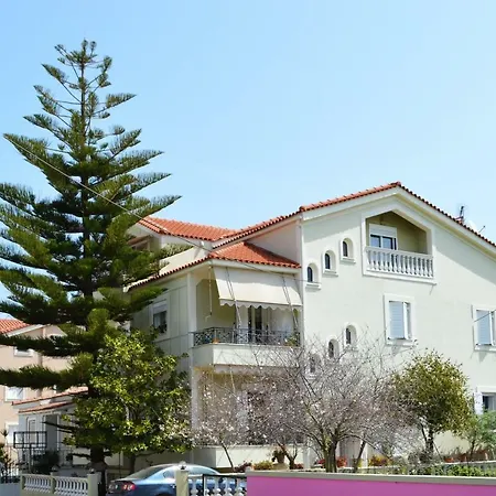 Araucaria Ликсури